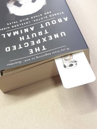 Animal Bookmark, Meerkat Bookmark, Giraffe Bookmark, Macaw Bookmark, Hedgehog Bookmark, Ferret Bookmark