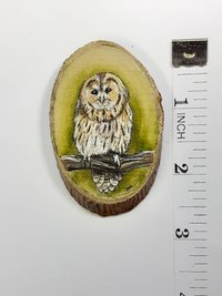 Tawny Owl Painting on Wood