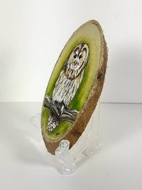 Tawny Owl Painting on Wood