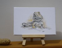 Bearded Dragon miniature canvas art print