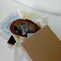 Lion Hand Painted on to Agate