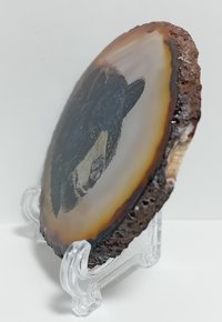 Black Bear Hand Painted on to Agate