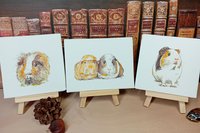 Guinea pig miniature art print