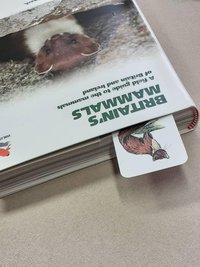 British Mammals Bookmark, Hedgehog, Badger, Fox, Dormouse, Otter, Stoat, Pine Marten, Rabbit, Wood Mice, Harvest Mice