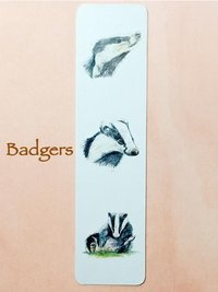 British Mammals Bookmark, Hedgehog, Badger, Fox, Dormouse, Otter, Stoat, Pine Marten, Rabbit, Wood Mice, Harvest Mice