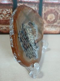 Amur Leopard Painting on Agate