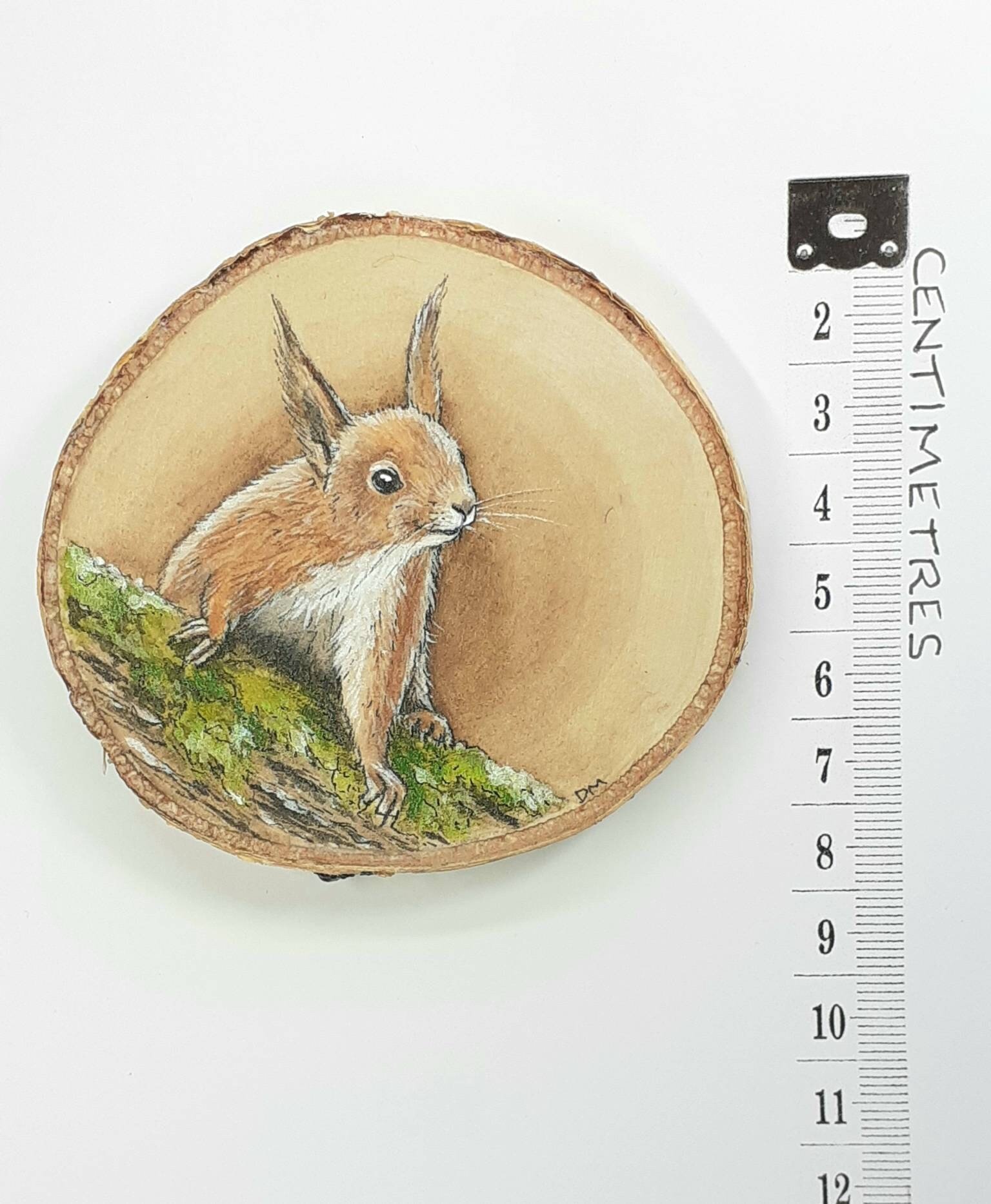 Red Squirrel Painting on Wood