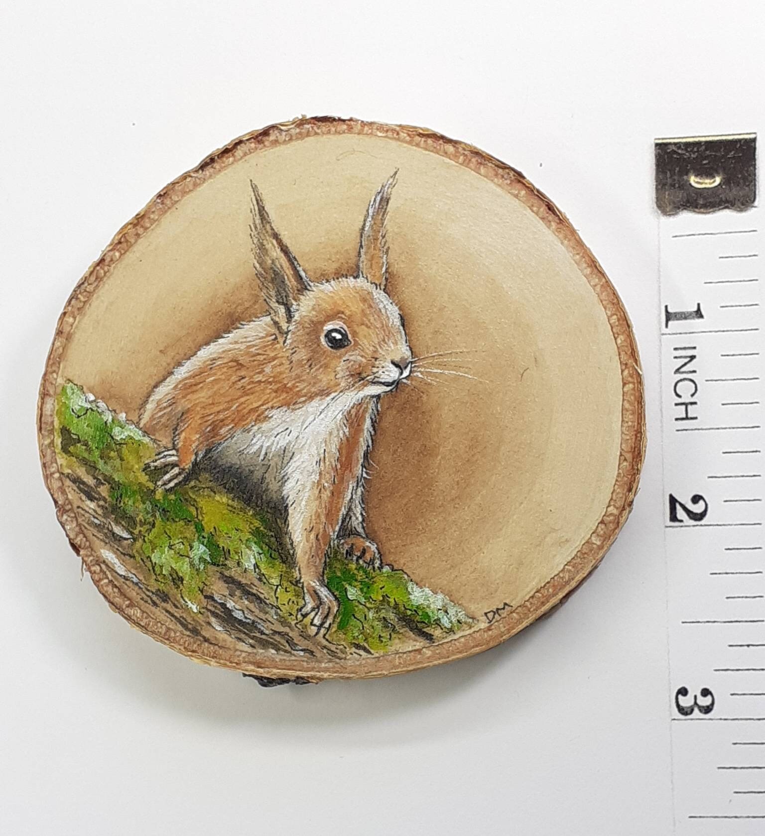 Red Squirrel Painting on Wood