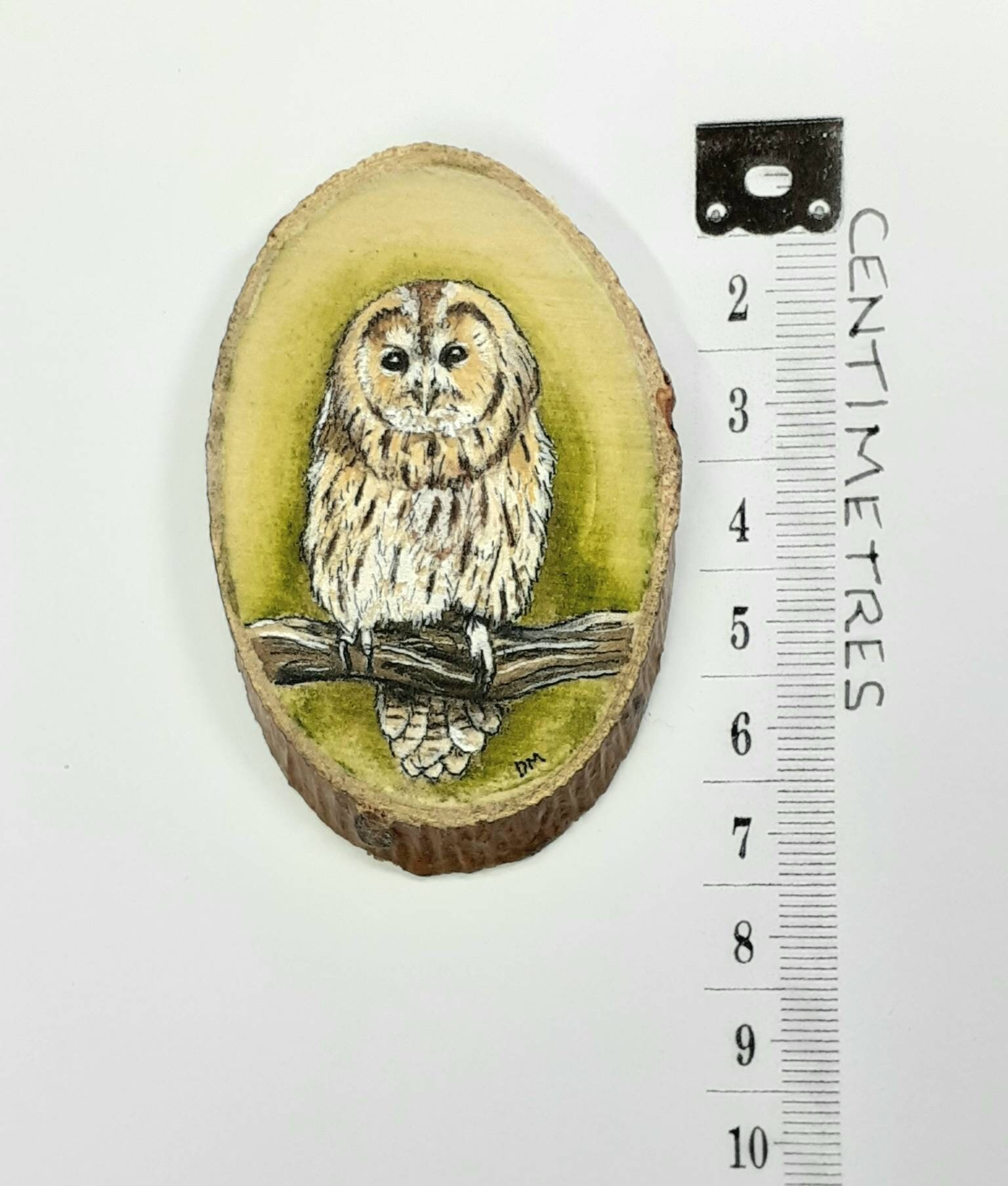 Tawny Owl Painting on Wood