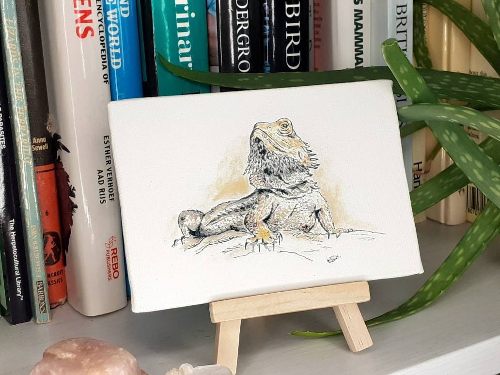 Bearded Dragon miniature canvas art print