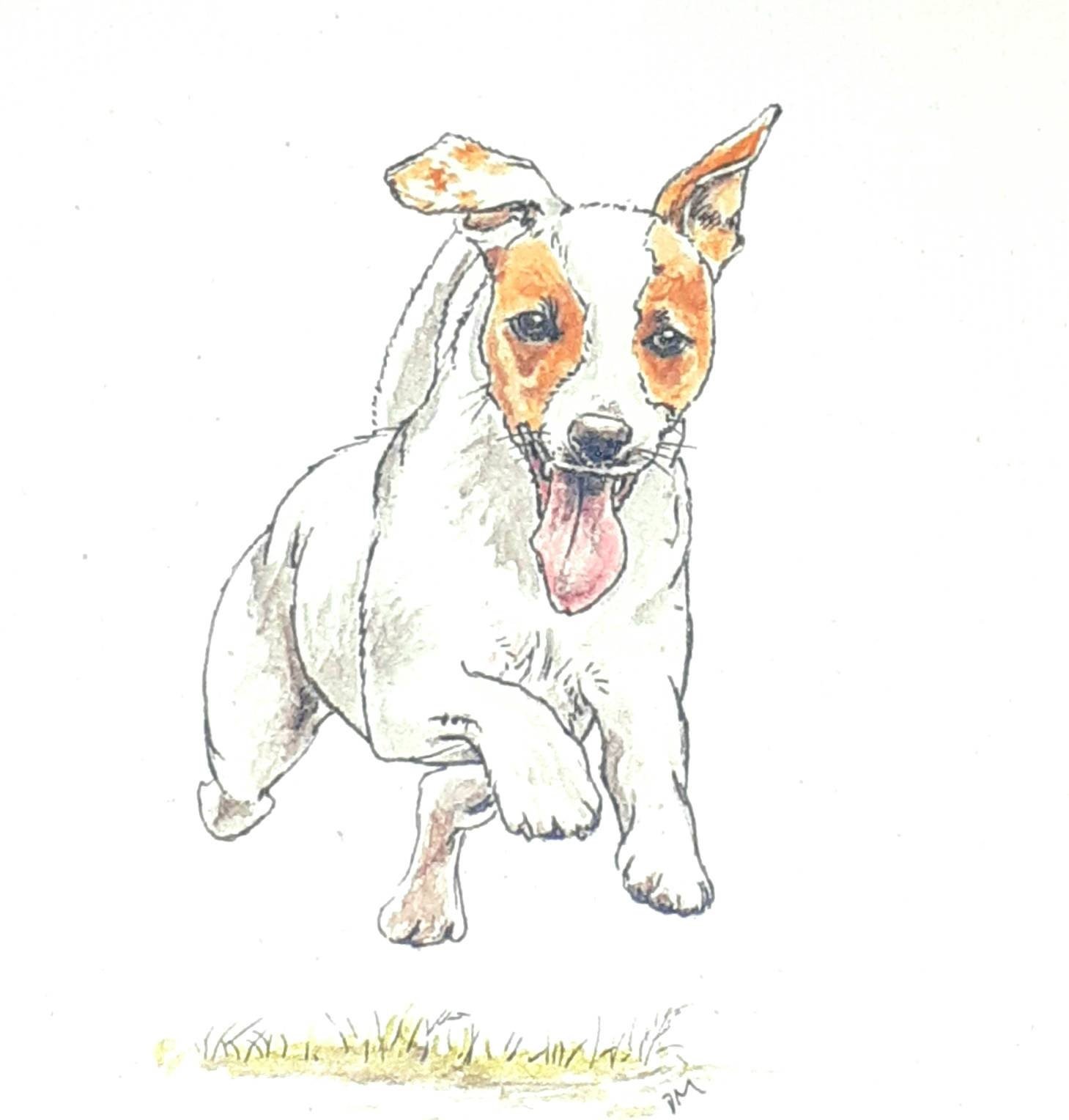 Jack Russell terrier miniature canvas art print