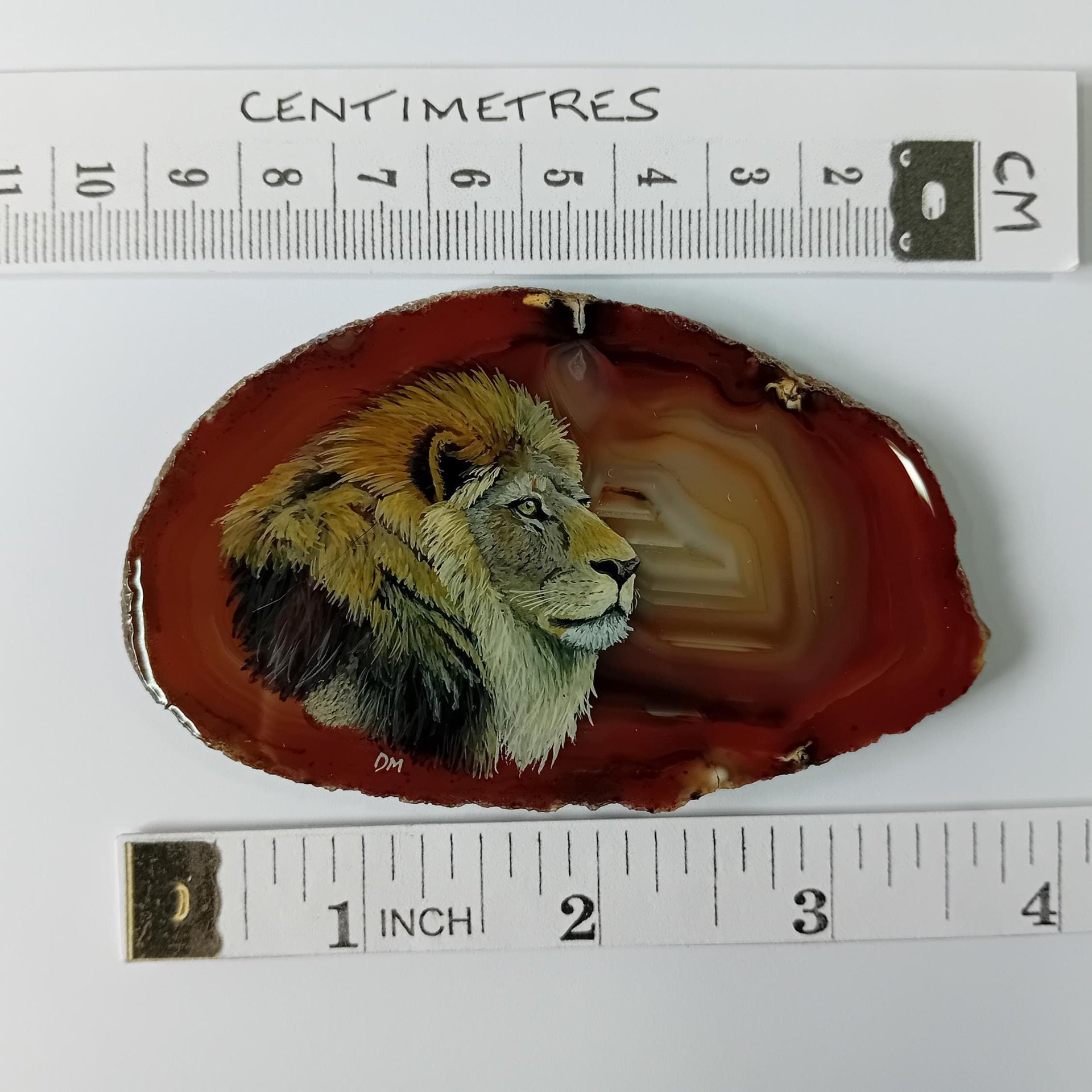 Lion Hand Painted on to Agate