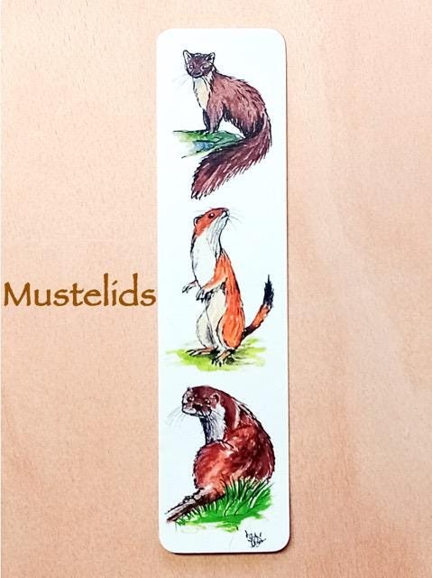 British Mammals Bookmark, Hedgehog, Badger, Fox, Dormouse, Otter, Stoat, Pine Marten, Rabbit, Wood Mice, Harvest Mice
