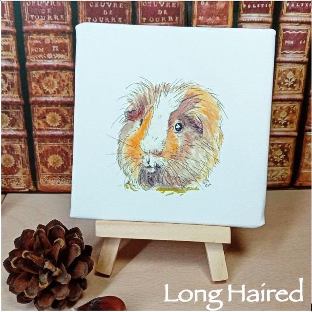 Guinea pig miniature art print