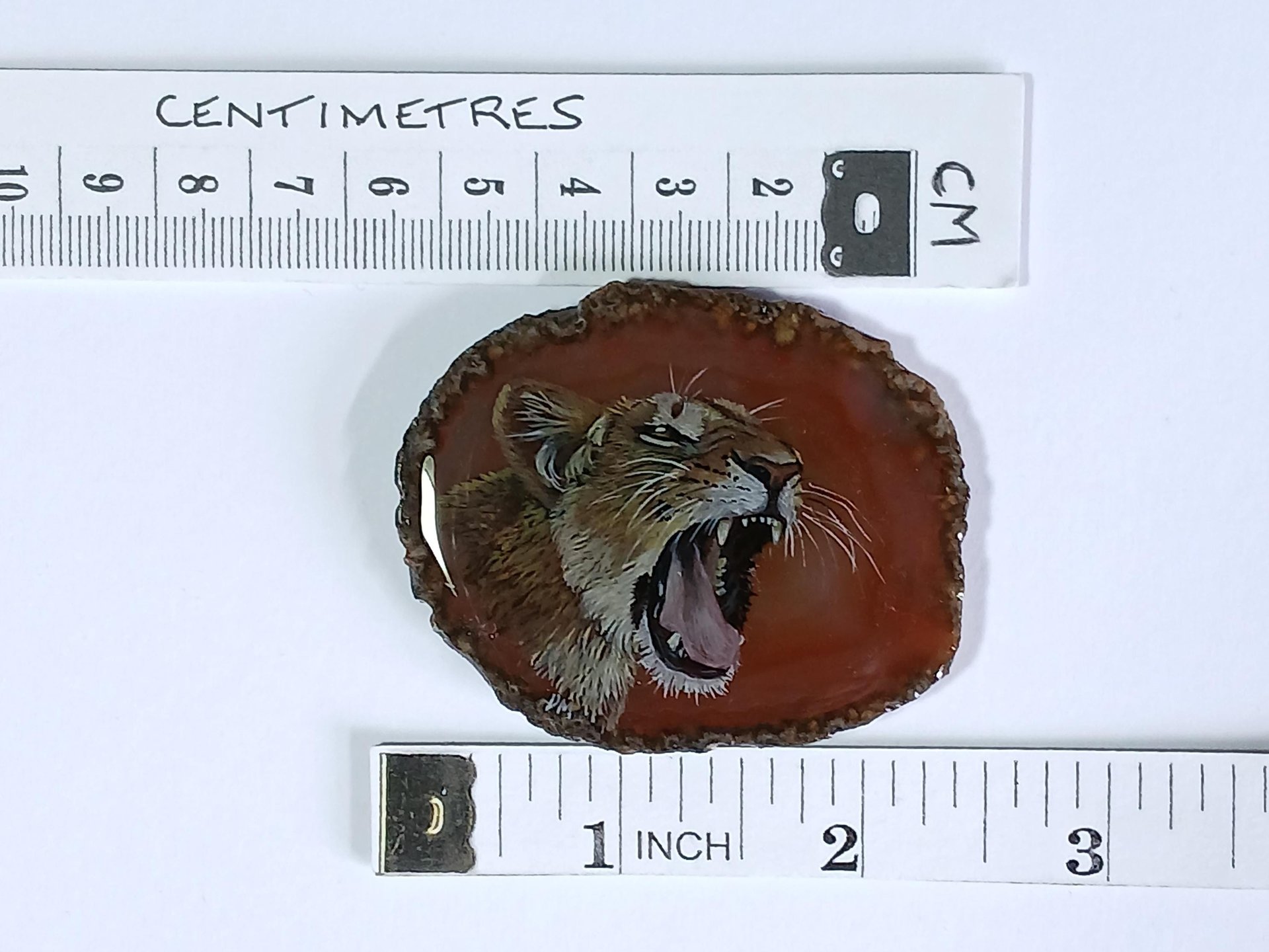 Lioness Hand Painted on to Agate