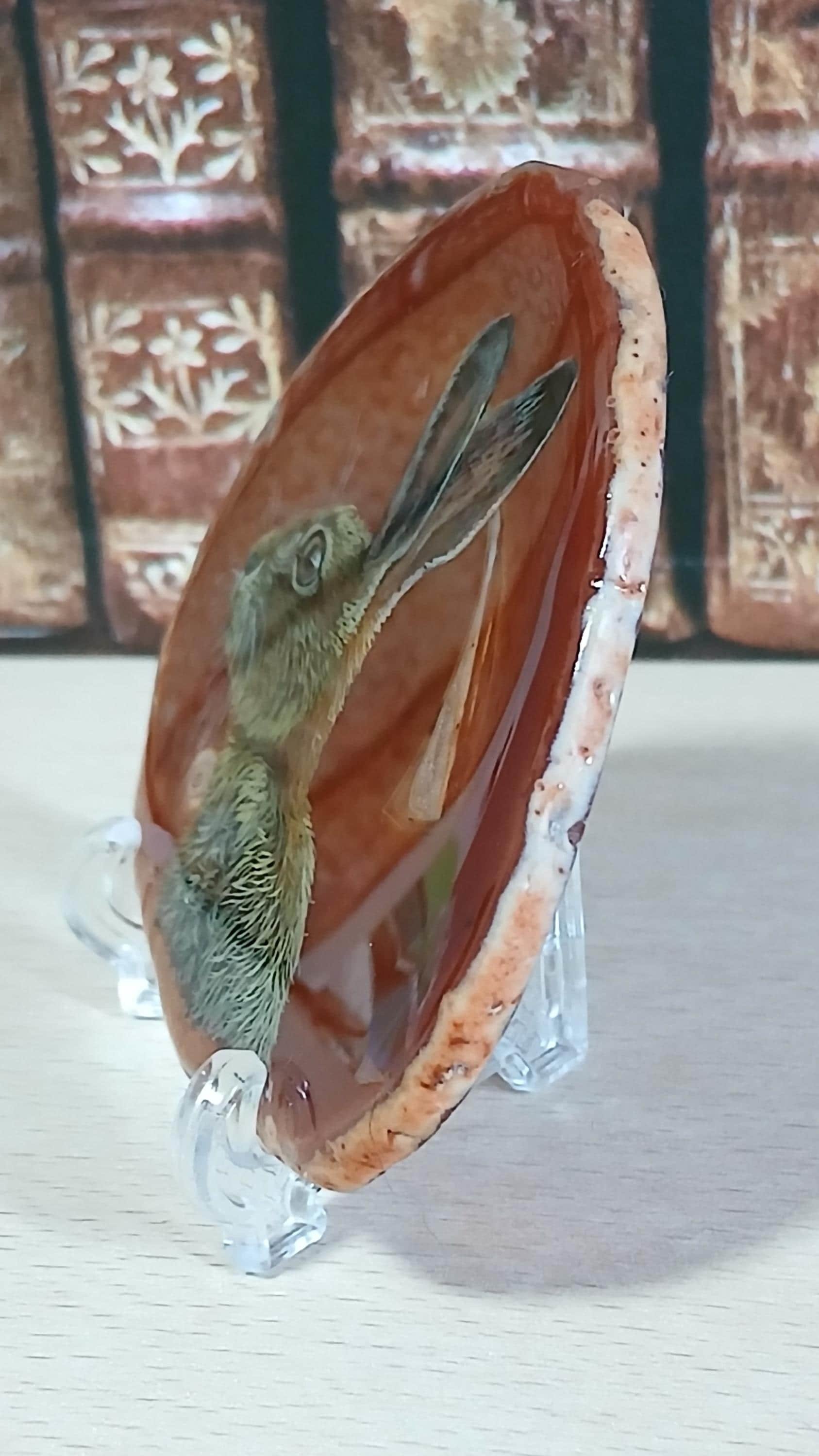 Brown Hare Painting on Agate