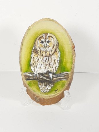 Tawny Owl Painting on Wood