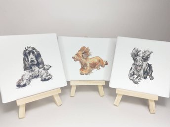 Cocker Spaniel Miniature Canvas Art Print