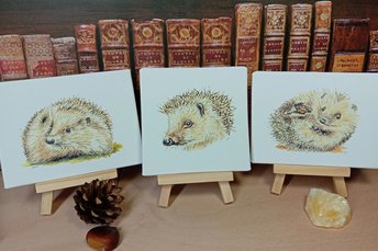 Hedgehog miniature art print