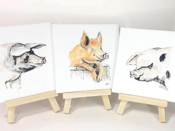 Pig miniature art print, Gloucester old spot, Tamworth, saddleback, rare breed pig prints